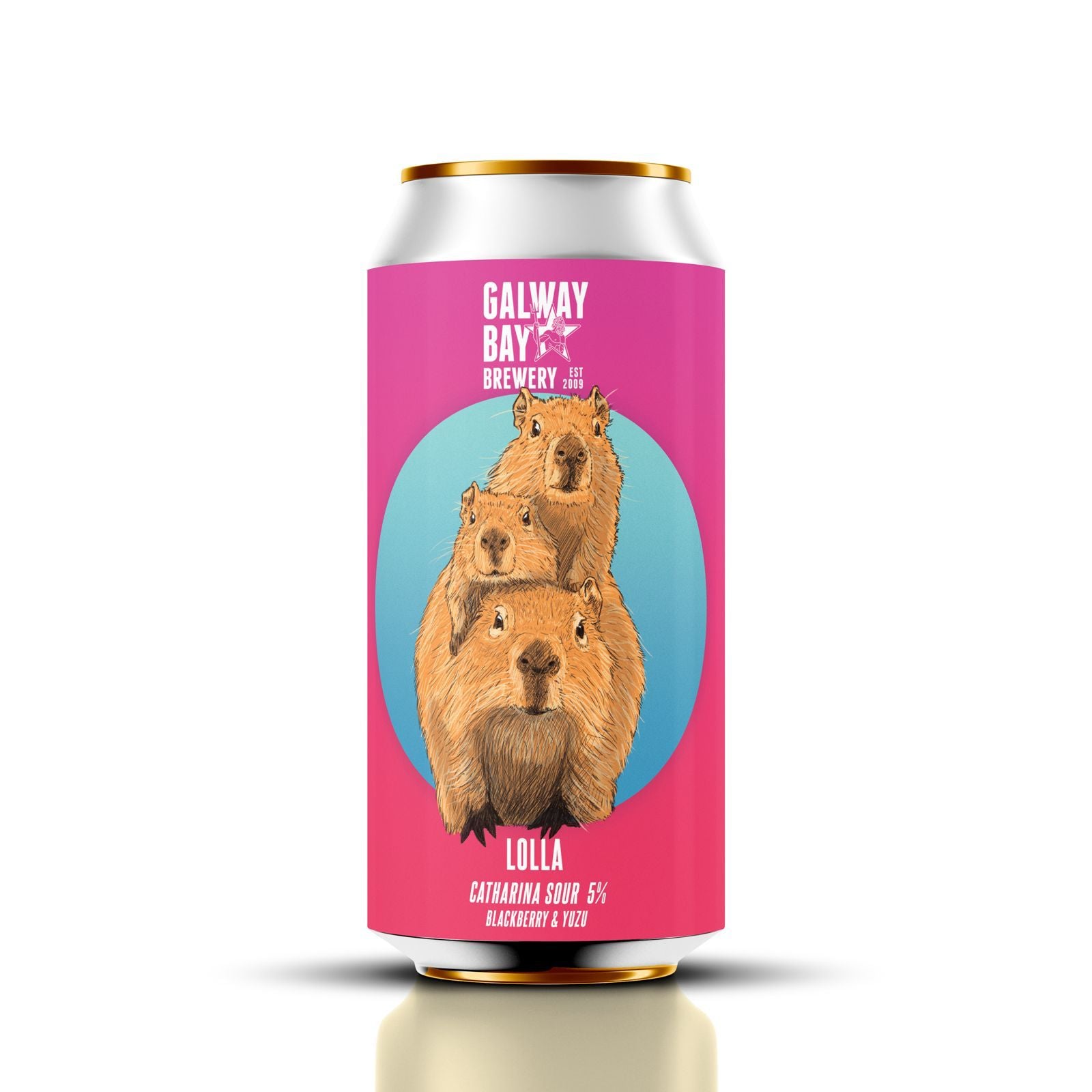 Galway Bay Brewery - Lolla Catharina Sour 5.0% ABV 440ml Can