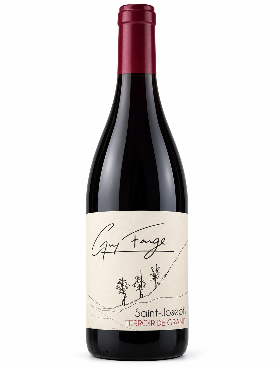Domaine Guy Farge Saint-Joseph Terroir de Granit 2022 bottle