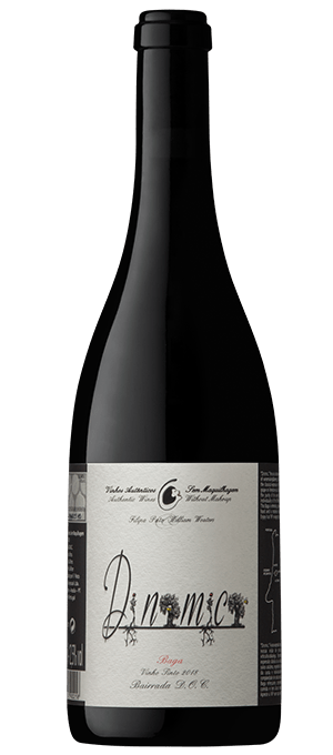 Filipa Pato DNMC Dinâmico Baga 2024