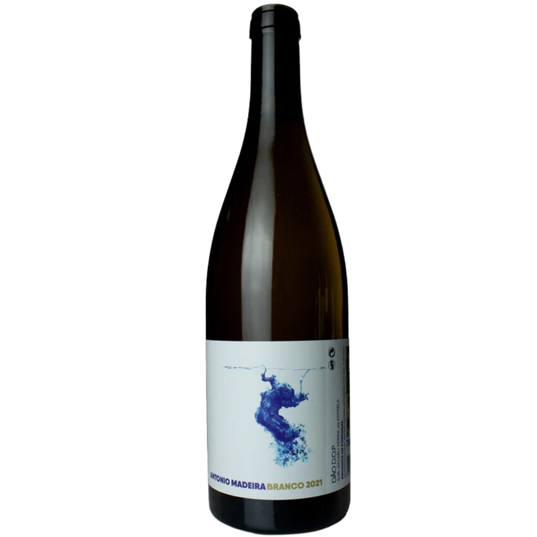 Antonio Madeira Branco 2021