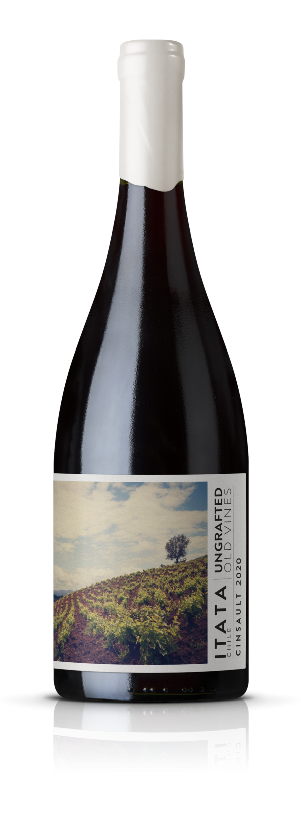 De Martino Ungrafted Cinsault 2022