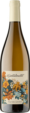 Tour Des Gendres Cantalouette Blanc