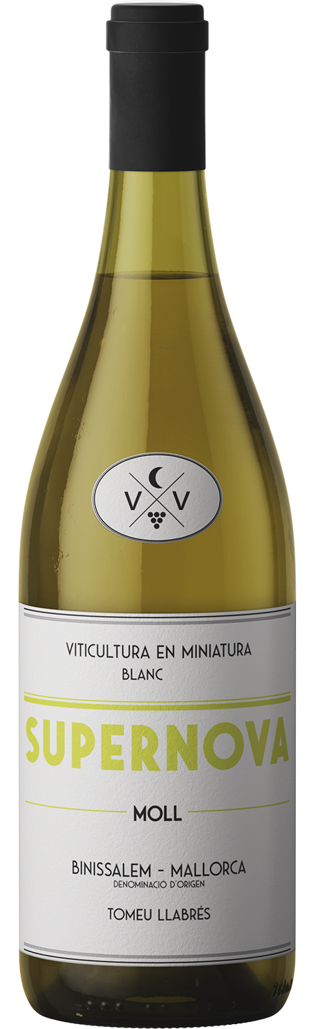 Ca'n Verdura Supernova  Moll 2022