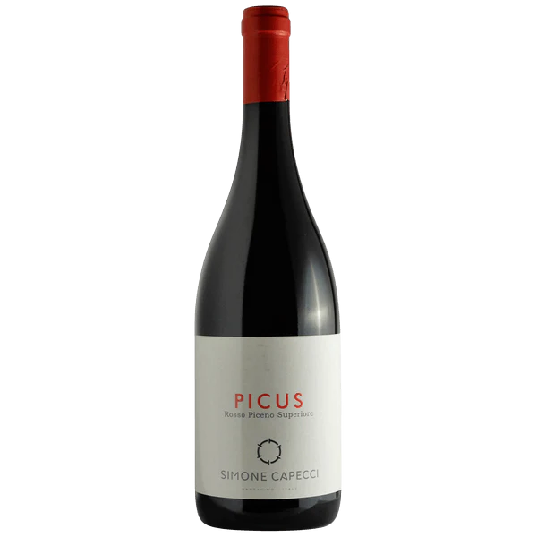 Simone Capecci "Picus" Rosso Piceno