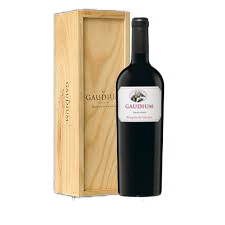 Marques de Caceres- Gaudium 2016 Magnum in Wooden box