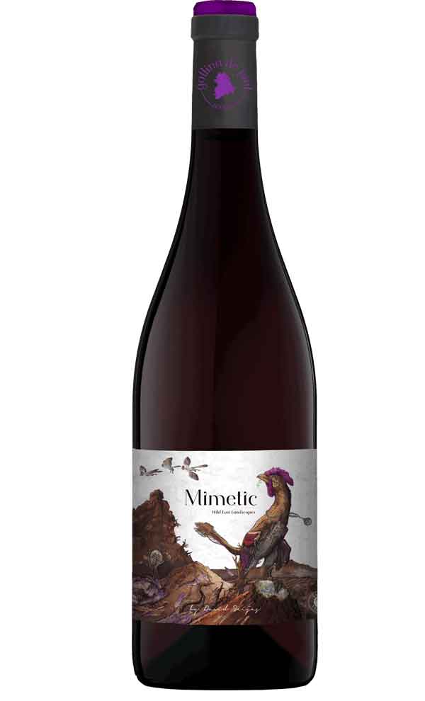 Gallina De Piel - Mimetic Wild Lost Landscapes